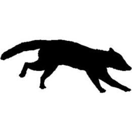 Raccoon Coon Vinyl Decal Sticker V3 - DecalsHouse