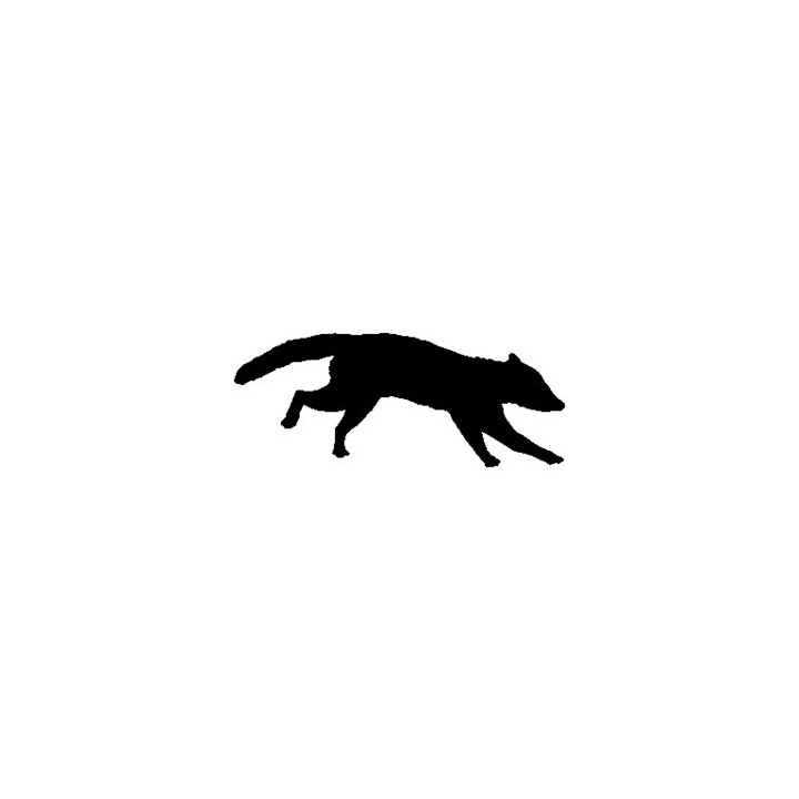 Raccoon Coon Vinyl Decal Sticker V3 - DecalsHouse