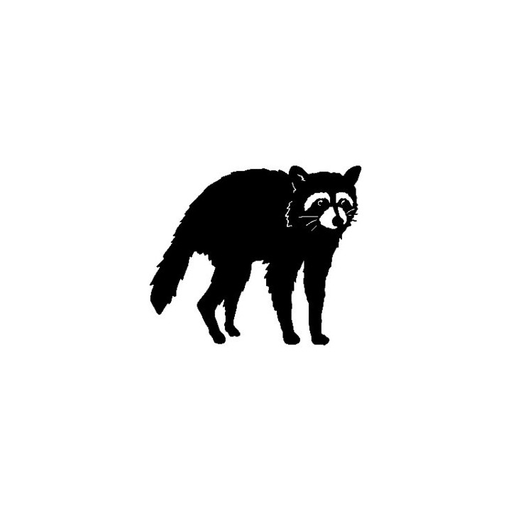 Raccoon Coon Vinyl Decal Sticker V4 - DecalsHouse