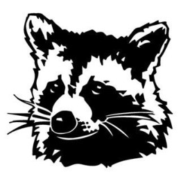 Raccoon Coon Vinyl Decal Sticker V42 - DecalsHouse