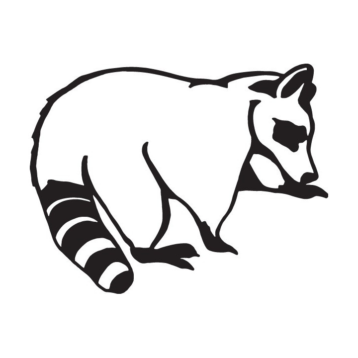 Raccoon Coon Vinyl Decal Sticker V43 - DecalsHouse