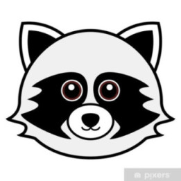 Raccoon Coon Vinyl Decal Sticker V53 - DecalsHouse