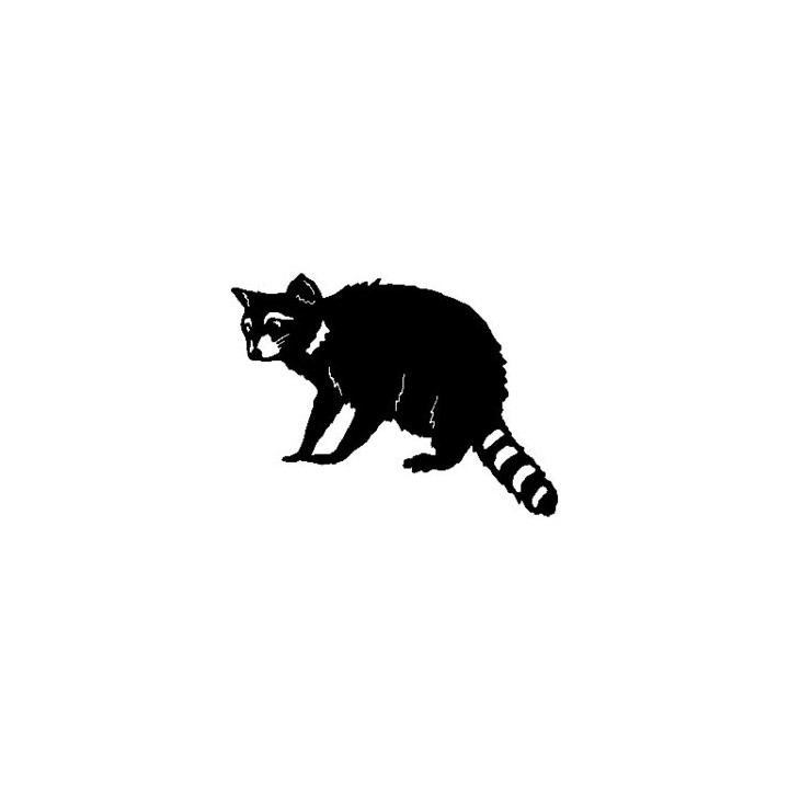 Raccoon Coon Vinyl Decal Sticker V7 - DecalsHouse