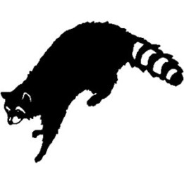 Raccoon Coon Vinyl Decal Sticker V9 - DecalsHouse
