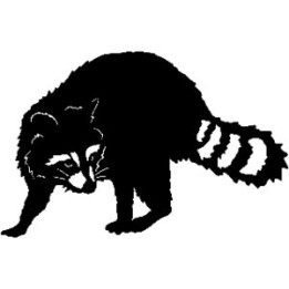 Raccoon Coon Vinyl Decal Sticker - DecalsHouse