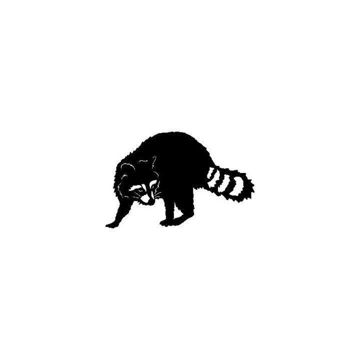 Raccoon Coon Vinyl Decal Sticker - DecalsHouse