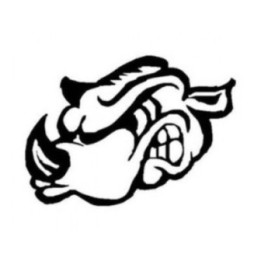 Rhino Vinyl Decal Sticker V26 - DecalsHouse