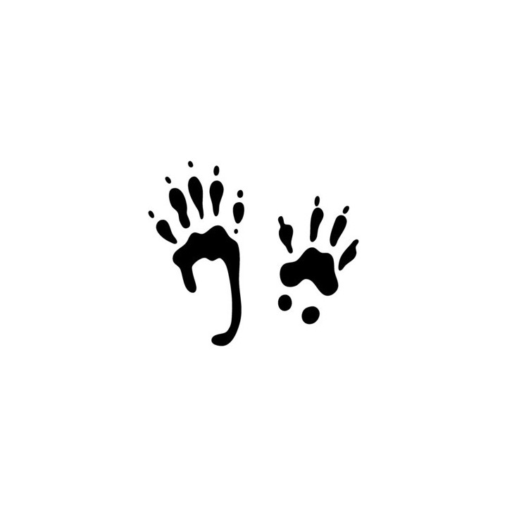 Squirrel Prints Vinyl Decal Sticker - DecalsHouse