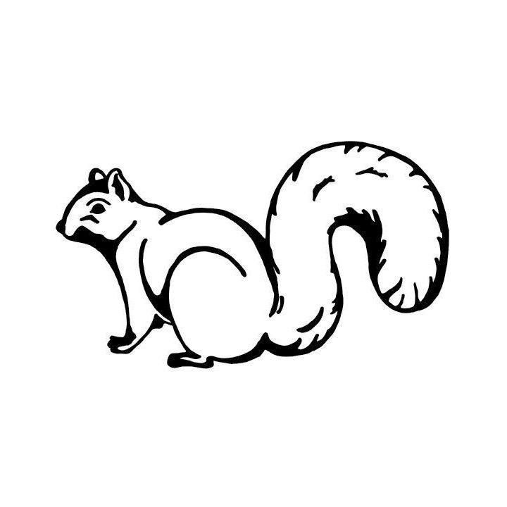 Squirrel Vinyl Decal Sticker V10 - DecalsHouse