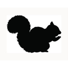Squirrel Vinyl Decal Sticker V15 - DecalsHouse