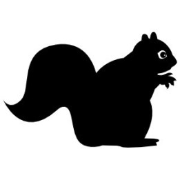 Squirrel Vinyl Decal Sticker V16 - DecalsHouse