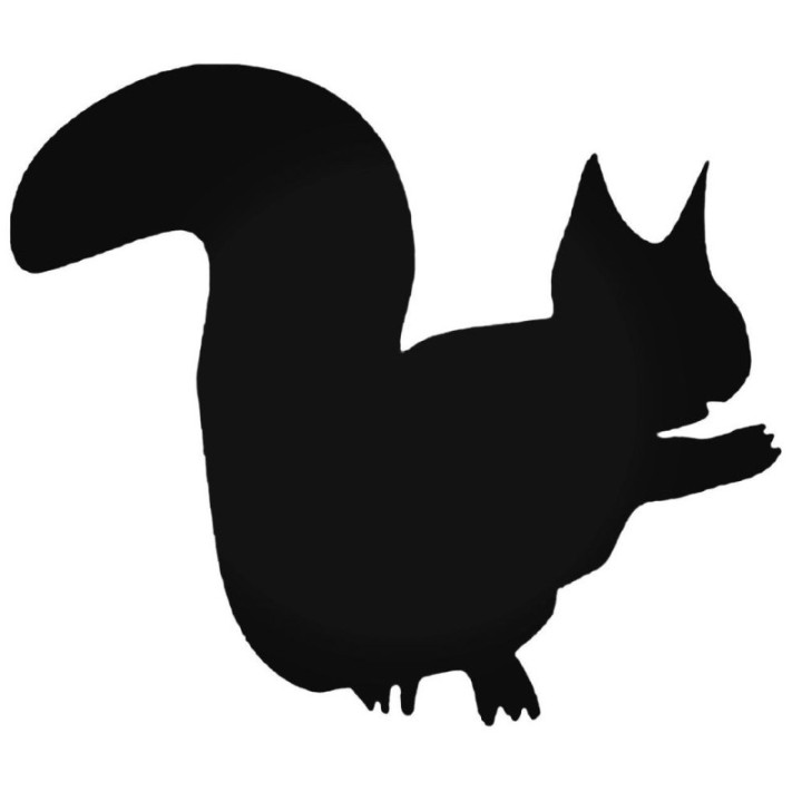 Squirrel Vinyl Decal Sticker V18 - DecalsHouse