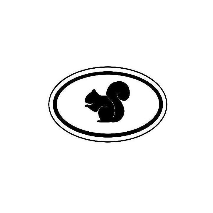 Squirrel Vinyl Decal Sticker V19 - DecalsHouse
