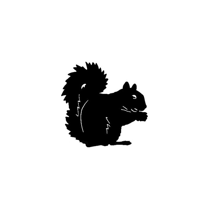 Squirrel Vinyl Decal Sticker V2 - DecalsHouse
