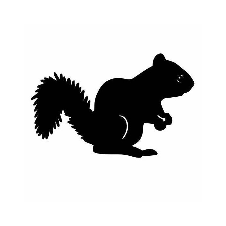 Squirrel Vinyl Decal Sticker V21 - DecalsHouse