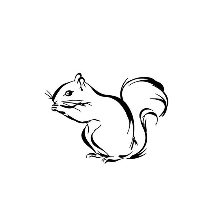 Squirrel Vinyl Decal Sticker V22 - DecalsHouse