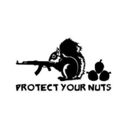 Squirrel Vinyl Decal Sticker V24 - DecalsHouse