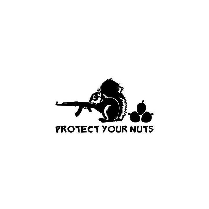 Squirrel Vinyl Decal Sticker V24 - DecalsHouse