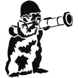 Squirrel Vinyl Decal Sticker V33 - DecalsHouse
