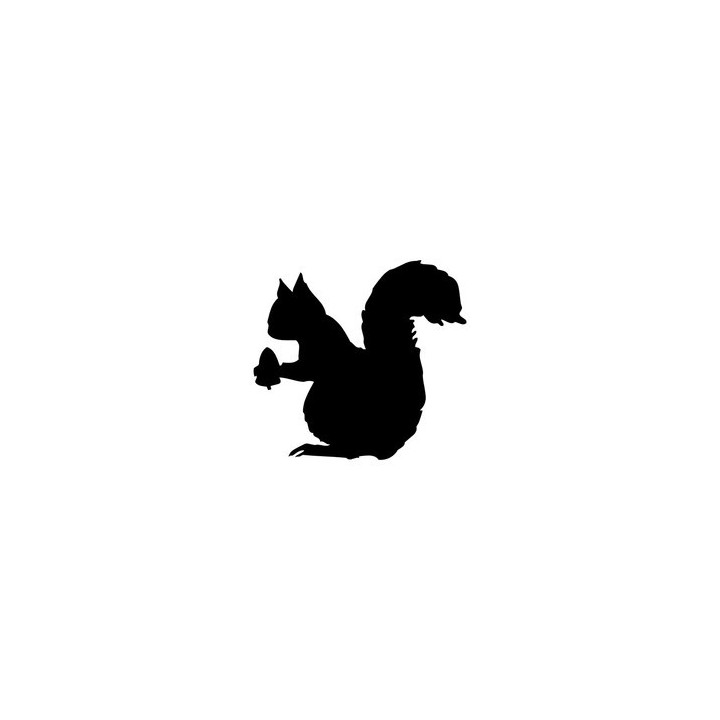 Squirrel Vinyl Decal Sticker V39 - DecalsHouse