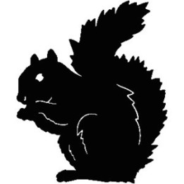Squirrel Vinyl Decal Sticker V4 - DecalsHouse