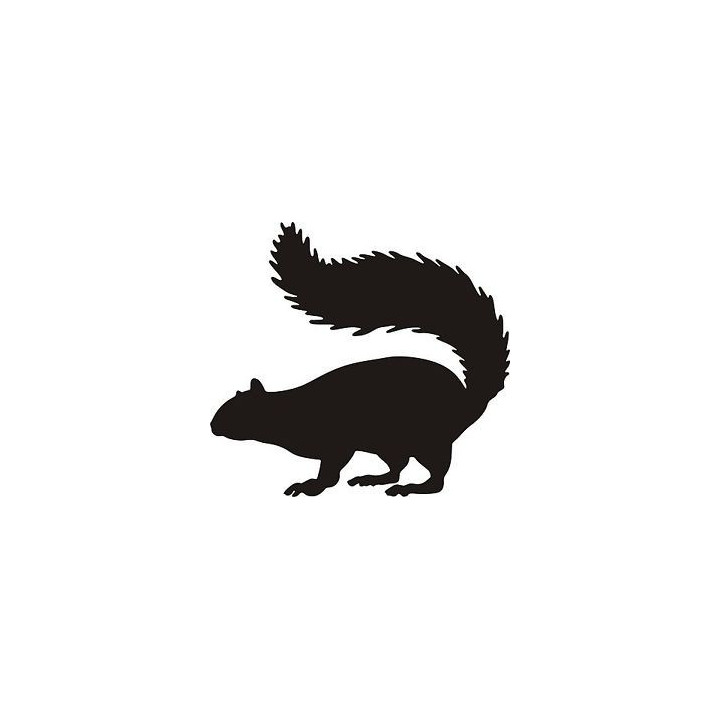 Squirrel Vinyl Decal Sticker V43 - DecalsHouse