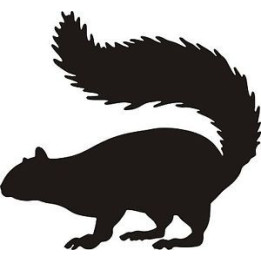Squirrel Vinyl Decal Sticker V46 - DecalsHouse