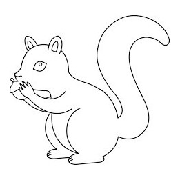 Squirrel Vinyl Decal Sticker V47 - DecalsHouse