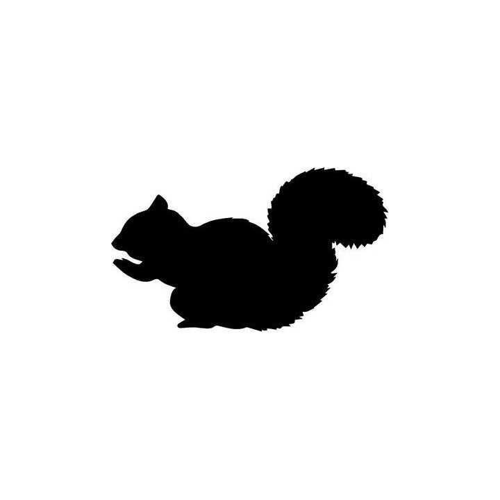 Squirrel Vinyl Decal Sticker V48 - DecalsHouse