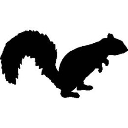 Squirrel Vinyl Decal Sticker V5 - DecalsHouse