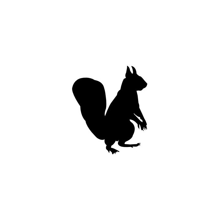 Squirrel Vinyl Decal Sticker V52 - DecalsHouse