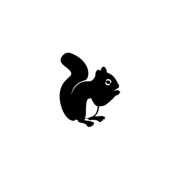 Squirrel Vinyl Decal Sticker V53 - DecalsHouse