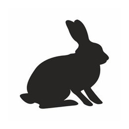 Squirrel Vinyl Decal Sticker V55 - DecalsHouse
