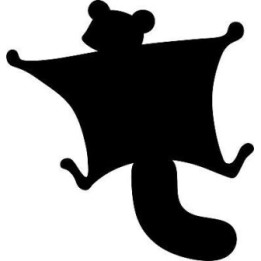 Squirrel Vinyl Decal Sticker V58 - DecalsHouse