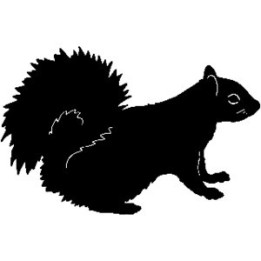 Squirrel Vinyl Decal Sticker V7 - DecalsHouse