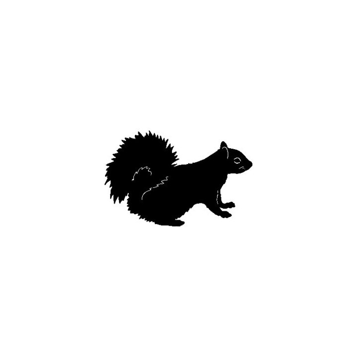 Squirrel Vinyl Decal Sticker V7 - DecalsHouse