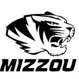 Tiger Vinyl Decal Sticker V14 - DecalsHouse
