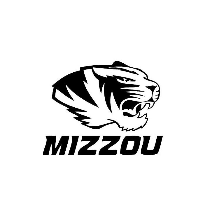 Tiger Vinyl Decal Sticker V14 - DecalsHouse
