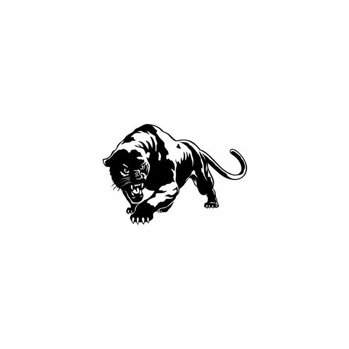Tiger Vinyl Decal Sticker V24 - DecalsHouse