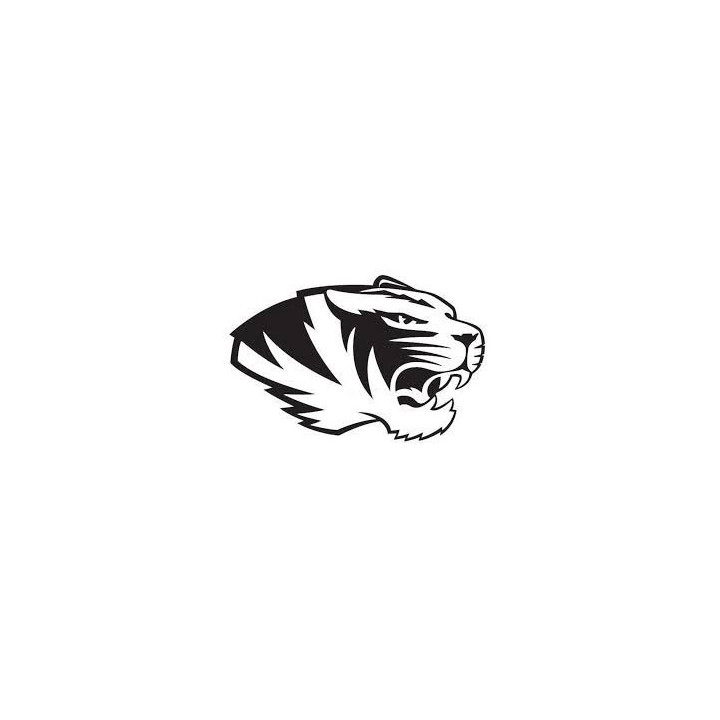 Tiger Vinyl Decal Sticker V33 - DecalsHouse