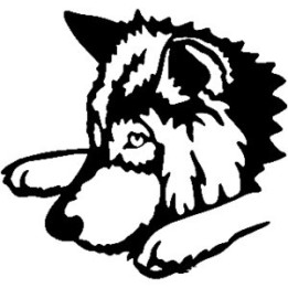 Wild Wolf Vinyl Decal Sticker V14 - DecalsHouse