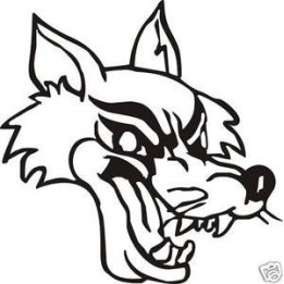Wild Wolf Vinyl Decal Sticker V47 - DecalsHouse