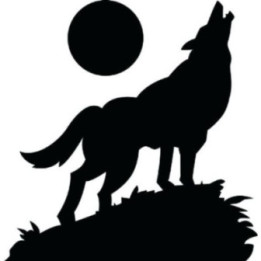 Wild Wolf Vinyl Decal Sticker V82 - DecalsHouse