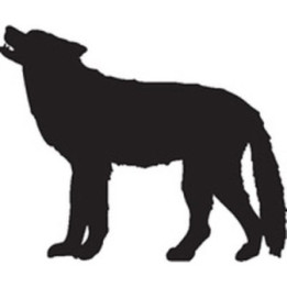 Wild Wolf Vinyl Decal Sticker V91 - DecalsHouse