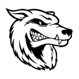 Wild Wolf Vinyl Decal Sticker V92 - DecalsHouse
