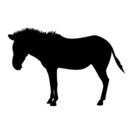 Zebra Vinyl Decal Sticker V11 - DecalsHouse