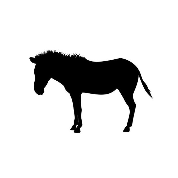 Zebra Vinyl Decal Sticker V11 - DecalsHouse