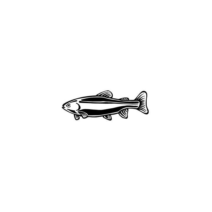 Rainbow Trout Vinyl Decal Sticker V10 - DecalsHouse