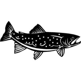 Rainbow Trout Vinyl Decal Sticker V2 - DecalsHouse
