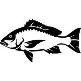Red Snapper Vinyl Decal Sticker V2 - DecalsHouse